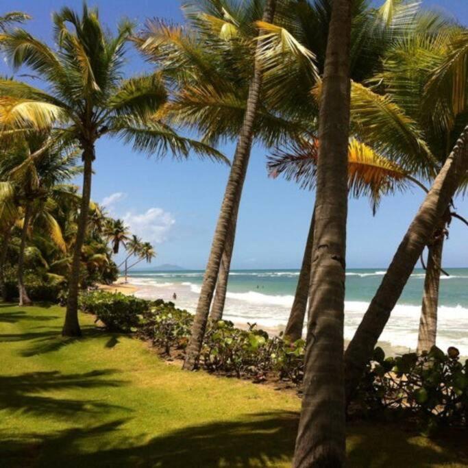 Appartement Beach Access + 3 Pools + Ocean Views - 2Br In Palmas - Sleeps 7 à Humacao Extérieur photo